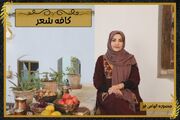 ویدئو/مجموعه کافه شعر عقیق/شماره سوم/زلف بر باد مده