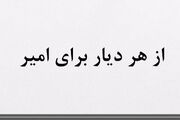 کلیپ/ از هر دیار برای امیر