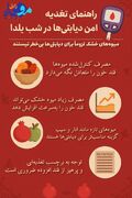 اینفوگرافیک/ راهنمای تغذیه امن دیابتی ها درشب یلدا