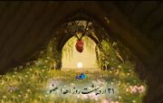 کلیپ/ روز اهدای عضو