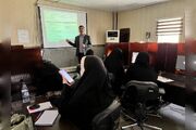 برگزاری سلسله کارگاه‌های آشنایی با مقالات مروری در دانشگاه علوم پزشکی آبادان