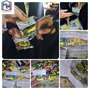 پویش جهادی «امیر عالم»