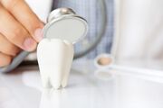 افزایش سهمیه بومی در دستیاری دندانپزشکی؛ اعلام آخرین مهلت ثبت‌نام