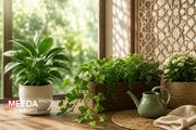 گل و گیاه؛ زبان خاموش طبیعت برای ارتقای سلامت روان انسان