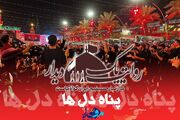 کلیپ/ پناه دل ها