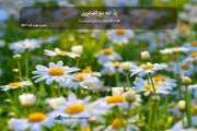 پوستر آیه گرافی/ به وقت آرامش