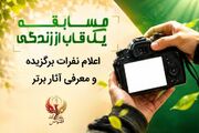 برگزیدگان مسابقه عکاسی «یک قاب از زندگی» علوم پزشکی لارستان معرفی شدند