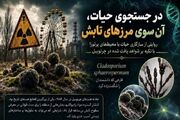 قارچ های پرتوزی زندگی در دل تشعشع