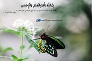 پوستر آیه گرافی/ به وقت آرامش