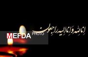 پیام تسلیت رئیس دانشگاه علوم پزشکی زنجان در پی درگذشت دانشجوی دانشگاه