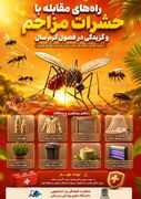 راه‌های مقابله با حشرات مزاحم و گزیدگی در فصول گرم سال