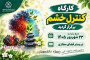 کارگاه آموزشی «کنترل خشم» ویژه دانشجویان در دانشگاه علوم پزشکی دزفول برگزار شد
