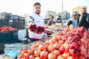 طرح نظارتی ویژه شب یلدا در خراسان جنوبی آغاز می‌شود