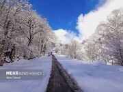 هواشناسی گیلان ۵ اسفند؛ برف و کولاک در راه است