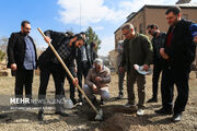 درختکاری هنرمندان قزوینی در عمارت هنر