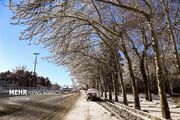 رحمان نیا: بارش برف در استان زنجان تداوم دارد