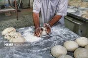 گشت بازرسی نانوایی‌های الشتر؛ ۲ واحد خبازی به مراجع قانونی معرفی شدند