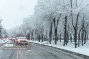 بارش برف و باران در ۲۰ استان کشور؛ ترافیک در ورودی‌های تهران