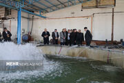 اله بخش:رونق صنعت آبزی‌پروری مشگین‌شهر اولویت اصلی است