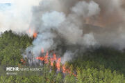 مرزبانی: ۲ هکتار از عرصه‌های طبیعی گیلان دچار حریق سطحی شد
