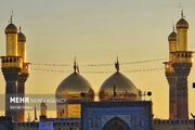 بازخوانی دکترین وکالت و مواسات در سیره امام جواد (ع)