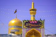 حرم مطهر امام رضا(ع) در سوگِ «شکافنده‌ی دانشِ نبوی»