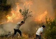 لرستان در آستانه فصل آتش؛ وقتی سبزی جنگل‌ها به تهدید تبدیل می‌شود