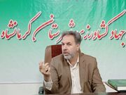 مبارزه با آفت سن در ۱۱۲ هزار هکتار از مزارع کرمانشاه