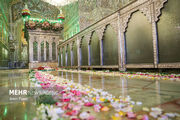 حرم شاهچراغ(ع) غرق در طنین شادی ولادت امام موسی کاظم(ع)
