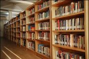 گودرزی زاده: ترویج آثار دینی فاخر در اولویت کتابخانه‌های عمومی است