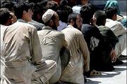 جمع آوری ۸۵ نفر از اتباع بیگانه غیر مجاز در زابل