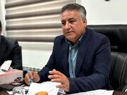 کردستان پیشتاز پویش «نه به پلاستیک» و حافظ آخرین میش‌مرغ‌های ایران