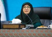 بررسی طرح هزینه خدمات دریایی در هرمز/ اصلاح قانون حمل سلاح محیط‌بانان