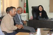 تشدید نظارت بر نانوایی‌ها و ساماندهی توزیع آرد در بروجرد