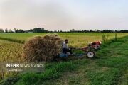 زمین‌های درجه یک کشاورزی سرمایه راهبردی کشور در تأمین امنیت غذایی است