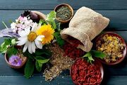 اینفوگرافیک؛ خراسان شمالی داروخانه گیاهان دارویی