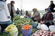 نزدیک به ۶.۵ میلیون زن روستایی فعال در کشور وجود دارد
