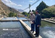 فعالیت ۱۳۲واحد آبزی‌پروری در شاهرود؛ تولید ۷۳۸تن ماهی و جلبک اسپرولینا