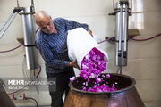 سالانه یک میلیون تن‌گلاب در خوی تولید می شود