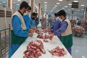 رشد ۶۷ درصدی نذورات قربانی در گلستان