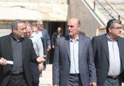 شکری: مجموعه ورزشی علی دایی به قطب بین‌المللی ورزش تبدیل می شود