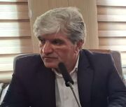 شهرک گلخانه‌ای «واشیان» در پلدختر به‌زودی وارد فاز اجرایی می‌شود