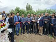 افتتاح مزرعه پرورش ماهیان سردآبی با ظرفیت ۳۵ تن در مشگین‌شهر