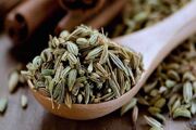ایجاد صنایع تبدیلی رازیانه در رزن یک ضرورت است
