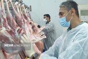 ۴۶ تن فراورده های خام دامی غیر بهداشتی در اردبیل معدوم شد
