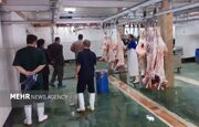 ذبح دام نذری در کشتارگاه‌های مجاز انجام شود