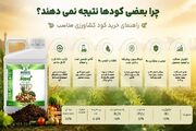 چرا بعضی کودها نتیجه نمی‌دهند؟/ راهنمای خرید کود کشاورزی مناسب