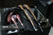 دستگیری ۲ شکارچی غیر مجاز در سمنان؛ لاشه قوچ کشف شد