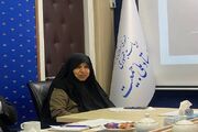 وحیددستجردی: جوانی جمعیت تنها با مشوق‌های اقتصادی محقق نمی‌شود