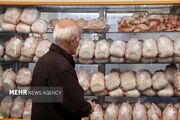 طرح خرید حمایتی مرغ در زنجان برای تنظیم بازار آغاز شد